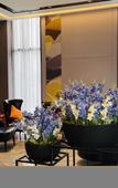 Туры в отель Homeinn Selected Hotel (Xi'an High-tech Zone CID Central Innovation District) Туры в отель Homeinn Selected Hotel (Xi'an High-tech Zone CID Central Innovation District)