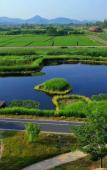 Туры в отель Home Inn Rui Bai Yun Hotel (Hangzhou Liangzhu Ruins Park Pingyao Square Branch) Туры в отель Home Inn Rui Bai Yun Hotel (Hangzhou Liangzhu Ruins Park Pingyao Square Branch)