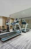 Туры в отель Maison New Century Hotel Guanhaiwei Cixi Туры в отель Maison New Century Hotel Guanhaiwei Cixi