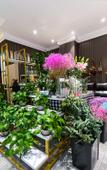 Туры в отель Dongguan Guohe Residence Туры в отель Dongguan Guohe Residence