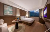 Туры в отель Manxin Hotel Nanjing Hongshan Forest Zoo Mufu Shanju Туры в отель Manxin Hotel Nanjing Hongshan Forest Zoo Mufu Shanju