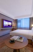 Туры в отель Manxin Hotel Nanjing Hongshan Forest Zoo Mufu Shanju Туры в отель Manxin Hotel Nanjing Hongshan Forest Zoo Mufu Shanju