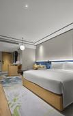 Туры в отель Hilton Garden Inn Huzhou Anji Phoenix Mountain Туры в отель Hilton Garden Inn Huzhou Anji Phoenix Mountain