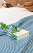 Туры в отель Shanghai Yuetingju City Nature Hotel (Songjiang University Town) Туры в отель Shanghai Yuetingju City Nature Hotel (Songjiang University Town)