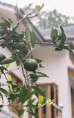 Туры в отель Chuyou Hostel Туры в отель Chuyou Hostel