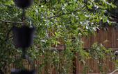 Туры в отель Chuyou Hostel Туры в отель Chuyou Hostel