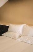 Туры в отель Chuyou Hostel Туры в отель Chuyou Hostel