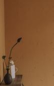 Туры в отель Chuyou Hostel Туры в отель Chuyou Hostel