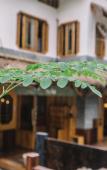 Туры в отель Chuyou Hostel Туры в отель Chuyou Hostel