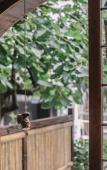Туры в отель Chuyou Hostel Туры в отель Chuyou Hostel