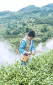 Туры в отель Yunling Tea Manor Туры в отель Yunling Tea Manor