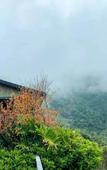 Туры в отель Yunling Tea Manor Туры в отель Yunling Tea Manor