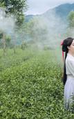 Туры в отель Yunling Tea Manor Туры в отель Yunling Tea Manor