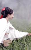 Туры в отель Yunling Tea Manor Туры в отель Yunling Tea Manor