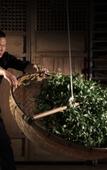 Туры в отель Yunling Tea Manor Туры в отель Yunling Tea Manor