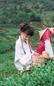 Туры в отель Yunling Tea Manor Туры в отель Yunling Tea Manor