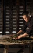 Туры в отель Yunling Tea Manor Туры в отель Yunling Tea Manor