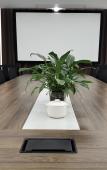 Туры в отель New Century Manju Hotel Linan Туры в отель New Century Manju Hotel Linan