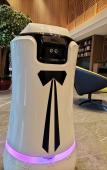 Туры в отель New Century Manju Hotel Linan Туры в отель New Century Manju Hotel Linan