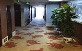 Туры в отель Jinxu Business Hotel (Fangshan Changyang Branch) Туры в отель Jinxu Business Hotel (Fangshan Changyang Branch)