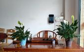 Туры в отель Huizhou Yongfu Homestay Туры в отель Huizhou Yongfu Homestay