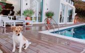Туры в отель Floral Lux Hotel Jurong Lihuyuan Hotel Туры в отель Floral Lux Hotel Jurong Lihuyuan Hotel