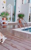 Туры в отель Floral Lux Hotel Jurong Lihuyuan Hotel Туры в отель Floral Lux Hotel Jurong Lihuyuan Hotel