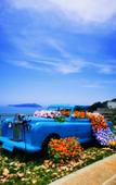 Туры в отель Wyndham Wenzhou Cangnan Resort Туры в отель Wyndham Wenzhou Cangnan Resort