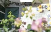 Туры в отель Oasis Courtyard Homestay (Chaozhou Ancient City Paifang Street) Туры в отель Oasis Courtyard Homestay (Chaozhou Ancient City Paifang Street)