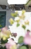 Туры в отель Oasis Courtyard Homestay (Chaozhou Ancient City Paifang Street) Туры в отель Oasis Courtyard Homestay (Chaozhou Ancient City Paifang Street)