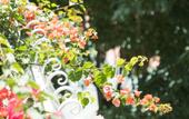 Туры в отель Oasis Courtyard Homestay (Chaozhou Ancient City Paifang Street) Туры в отель Oasis Courtyard Homestay (Chaozhou Ancient City Paifang Street)