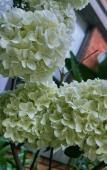 Туры в отель P.d PANDA HOTEL Туры в отель P.d PANDA HOTEL