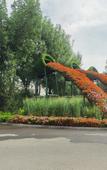 Туры в отель Huayi Selected Hotel (Jinan Western International Exhibition Center Branch) Туры в отель Huayi Selected Hotel (Jinan Western International Exhibition Center Branch)