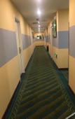 Туры в отель Rujia Court Hotel (Beijing Daxing Caiyu) Туры в отель Rujia Court Hotel (Beijing Daxing Caiyu)