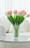 Туры в отель Floral Hotel·Shengsi Fengshe hotel (Nanchangtu Beach) Туры в отель Floral Hotel·Shengsi Fengshe hotel (Nanchangtu Beach)