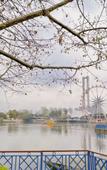 Туры в отель Borrman Hotel Chengdu Wenjiang Guose Tianxiang Туры в отель Borrman Hotel Chengdu Wenjiang Guose Tianxiang