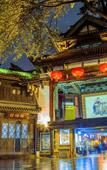Туры в отель Borrman Hotel Chengdu Wenjiang Guose Tianxiang Туры в отель Borrman Hotel Chengdu Wenjiang Guose Tianxiang