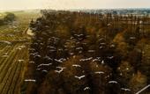 Туры в отель Floral Hotel · Yiding Country House Hotel Туры в отель Floral Hotel · Yiding Country House Hotel