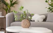 Туры в отель Mishang Homestay Туры в отель Mishang Homestay