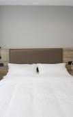 Туры в отель Shuangzhou Hotel Туры в отель Shuangzhou Hotel