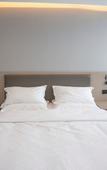 Туры в отель Shuangzhou Hotel Туры в отель Shuangzhou Hotel