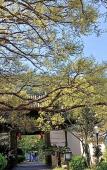 Туры в отель Manju Hotel (Zhoushan Baolong Plaza Children's Park) Туры в отель Manju Hotel (Zhoushan Baolong Plaza Children's Park)