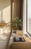 Туры в отель Floral Hotel·Shanghai Shiqi Hotel Туры в отель Floral Hotel·Shanghai Shiqi Hotel