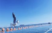 Туры в отель Homeinn Ripple Yun Hotel (Anning Outlets) Туры в отель Homeinn Ripple Yun Hotel (Anning Outlets)