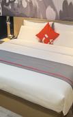 Туры в отель Shankee Yue Hotel (Gaocheng Shifu Xi Road) Туры в отель Shankee Yue Hotel (Gaocheng Shifu Xi Road)
