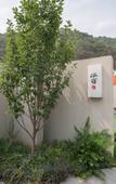 Туры в отель Floral Hotel · Valley Haven Private Spring Courtyard Hotel Туры в отель Floral Hotel · Valley Haven Private Spring Courtyard Hotel