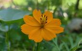 Туры в отель Floral Hotel · Valley Haven Private Spring Courtyard Hotel Туры в отель Floral Hotel · Valley Haven Private Spring Courtyard Hotel