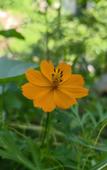Туры в отель Floral Hotel · Valley Haven Private Spring Courtyard Hotel Туры в отель Floral Hotel · Valley Haven Private Spring Courtyard Hotel