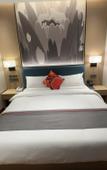 Туры в отель Shankee Coffee Style Hotel (Chengdu Tianfu Guojijichang) Туры в отель Shankee Coffee Style Hotel (Chengdu Tianfu Guojijichang)