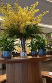 Туры в отель Lanzhou Yuyang International Hotel Туры в отель Lanzhou Yuyang International Hotel